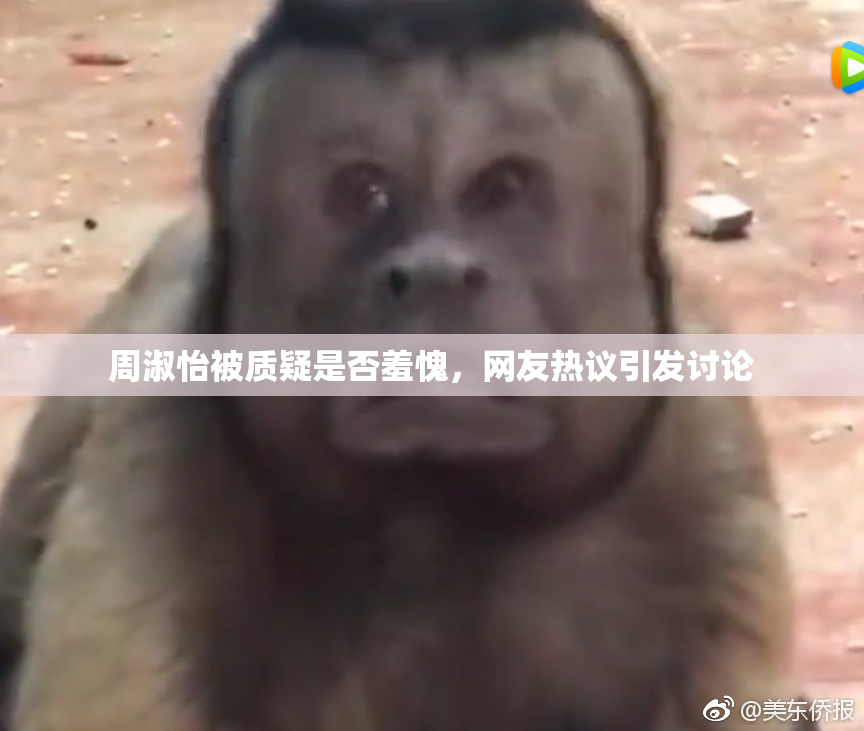 周淑怡被质疑是否羞愧，网友热议引发讨论