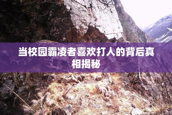 当校园霸凌者喜欢打人的背后真相揭秘