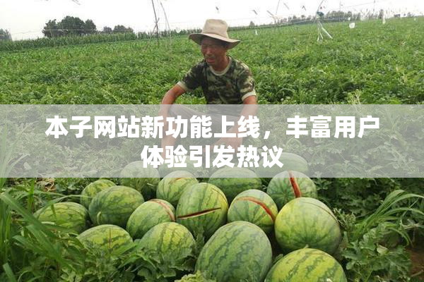 本子网站新功能上线，丰富用户体验引发热议