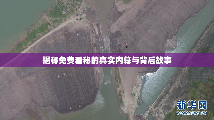 揭秘免费看秘的真实内幕与背后故事