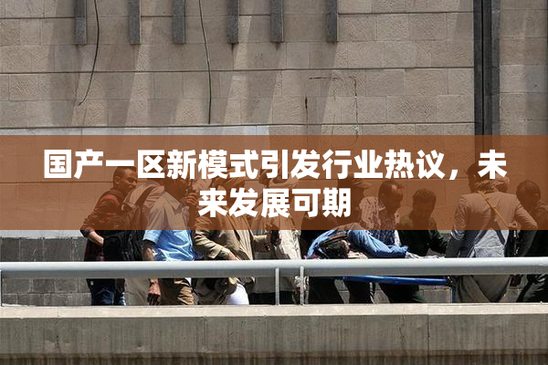 国产一区新模式引发行业热议，未来发展可期