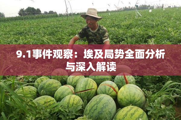 9.1事件观察：埃及局势全面分析与深入解读