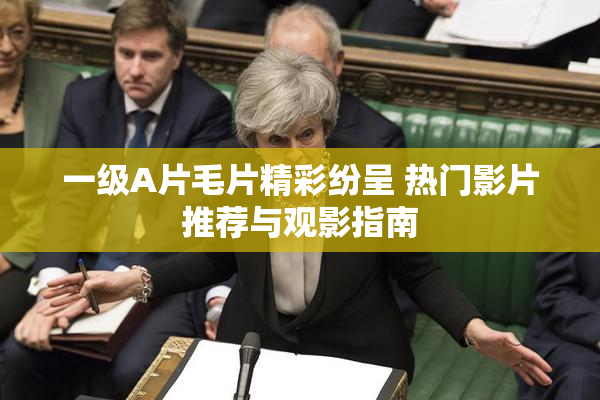 一级A片毛片精彩纷呈 热门影片推荐与观影指南