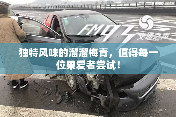 独特风味的溜溜梅青，值得每一位果爱者尝试！