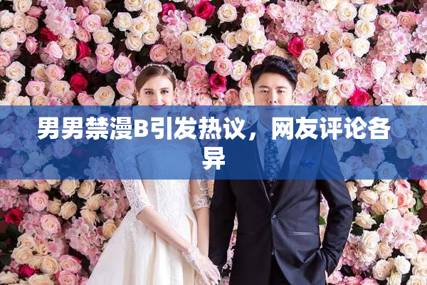 男男禁漫B引发热议，网友评论各异