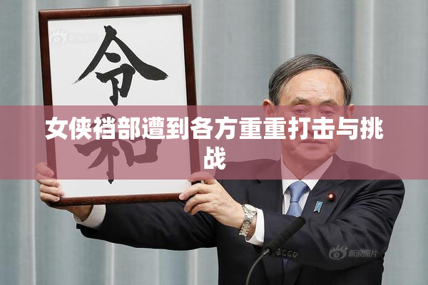女侠裆部遭到各方重重打击与挑战