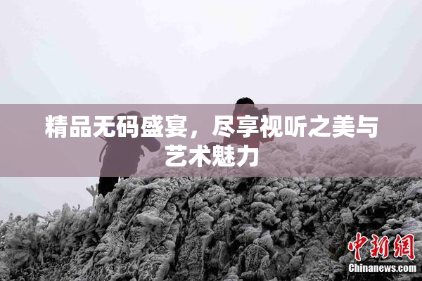 精品无码盛宴，尽享视听之美与艺术魅力