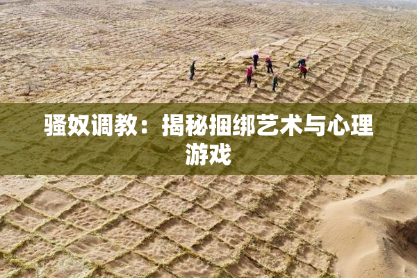 骚奴调教：揭秘捆绑艺术与心理游戏
