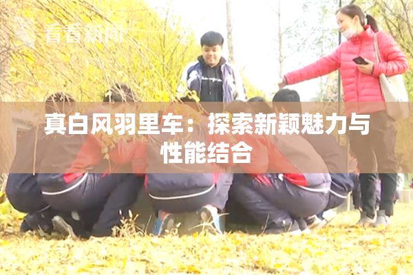真白风羽里车：探索新颖魅力与性能结合