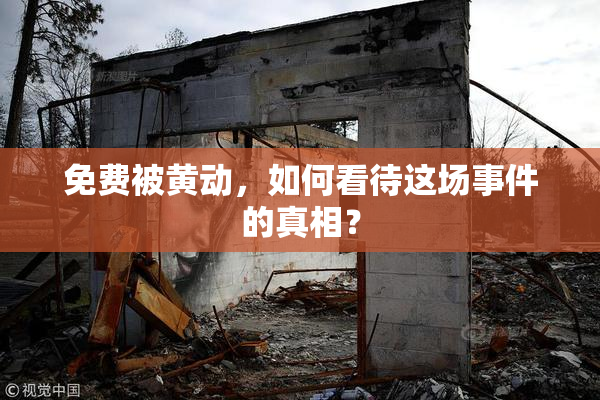 免费被黄动，如何看待这场事件的真相？