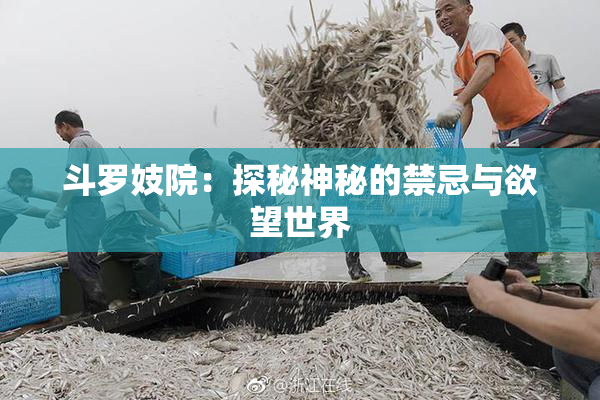 斗罗妓院：探秘神秘的禁忌与欲望世界