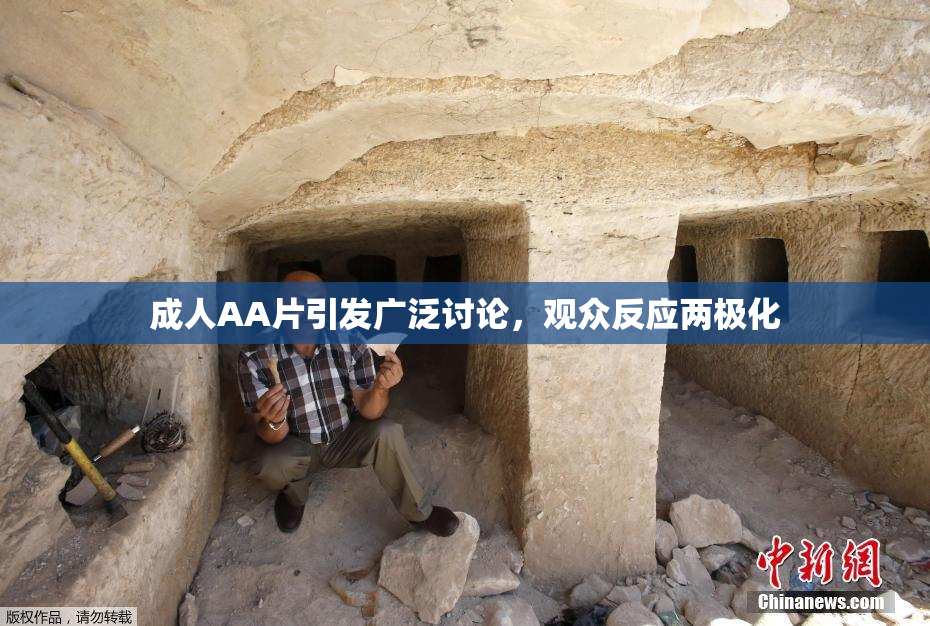 成人AA片引发广泛讨论，观众反应两极化