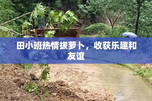 田小班热情拔萝卜，收获乐趣和友谊