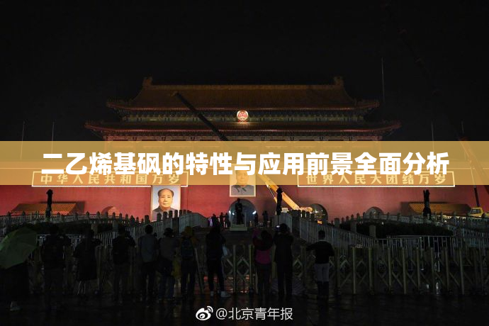 二乙烯基砜的特性与应用前景全面分析