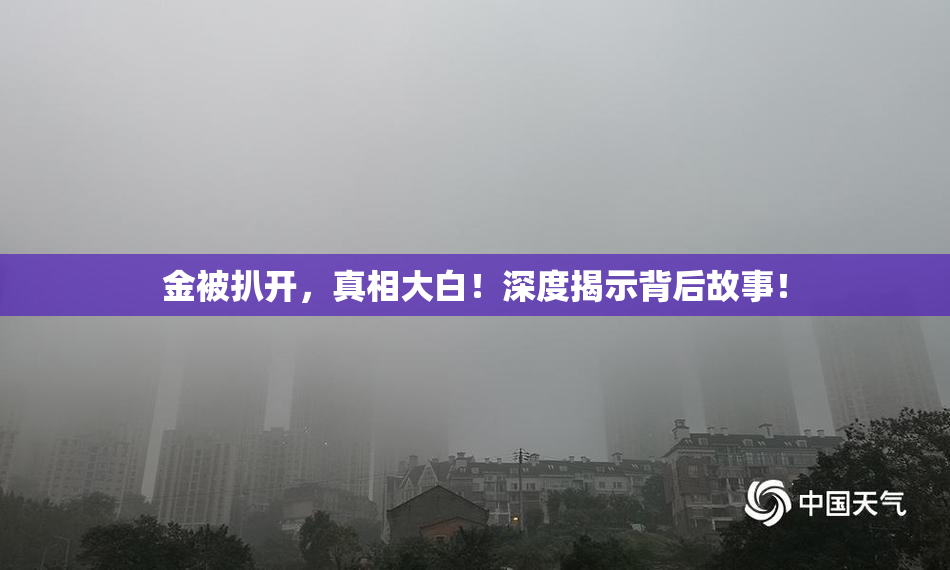 金被扒开，真相大白！深度揭示背后故事！