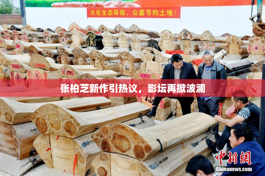 张柏芝新作引热议，影坛再掀波澜