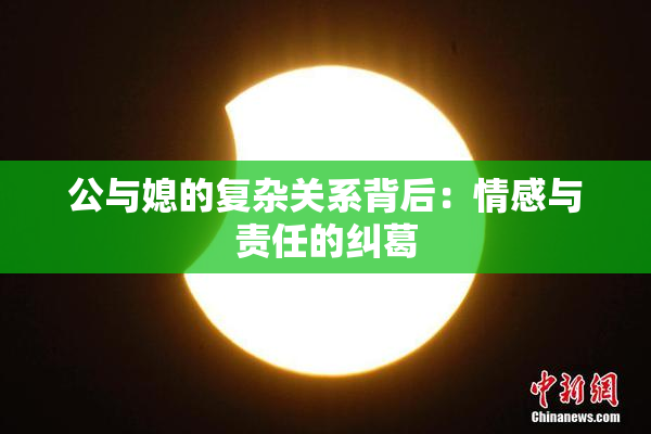 公与媳的复杂关系背后：情感与责任的纠葛