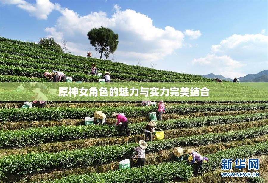 原神女角色的魅力与实力完美结合