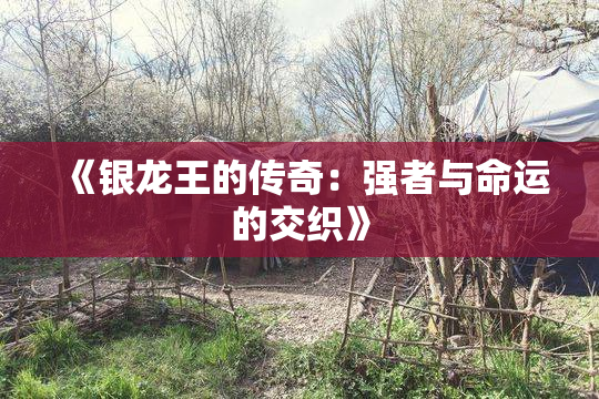 《银龙王的传奇：强者与命运的交织》