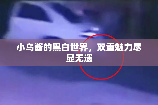 小乌酱的黑白世界，双重魅力尽显无遗