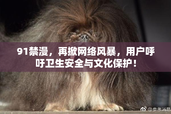 91禁漫，再掀网络风暴，用户呼吁卫生安全与文化保护！