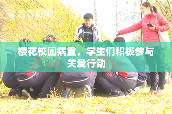 樱花校园病重，学生们积极参与关爱行动