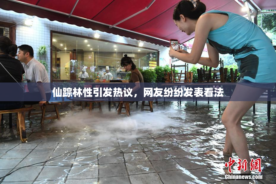 仙踪林性引发热议，网友纷纷发表看法