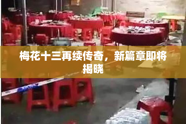 梅花十三再续传奇，新篇章即将揭晓