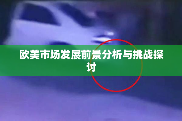 欧美市场发展前景分析与挑战探讨