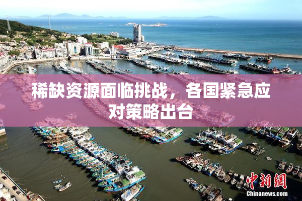稀缺资源面临挑战，各国紧急应对策略出台