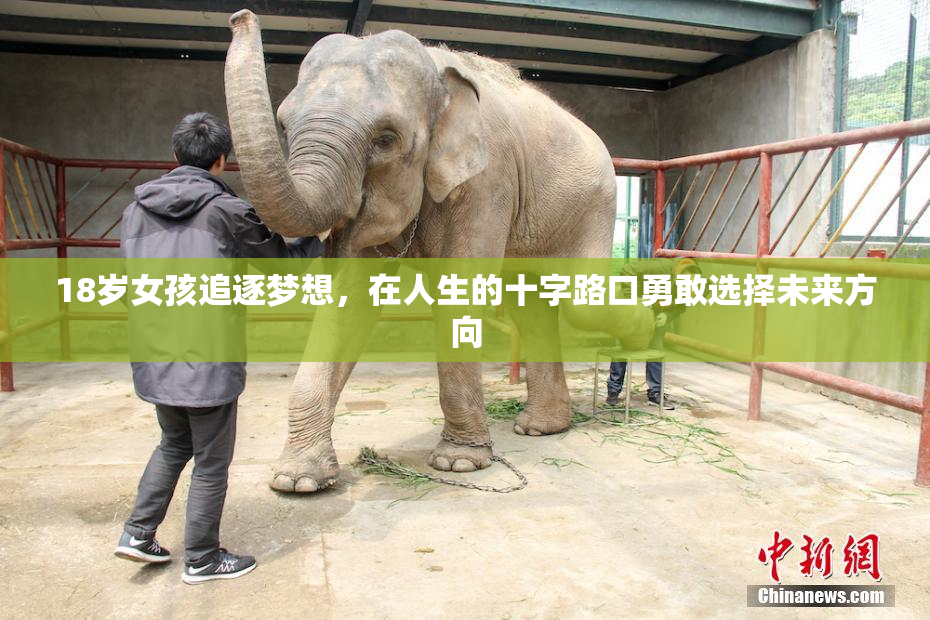 18岁女孩追逐梦想，在人生的十字路口勇敢选择未来方向