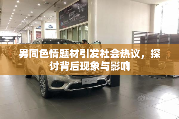 男同色情题材引发社会热议，探讨背后现象与影响