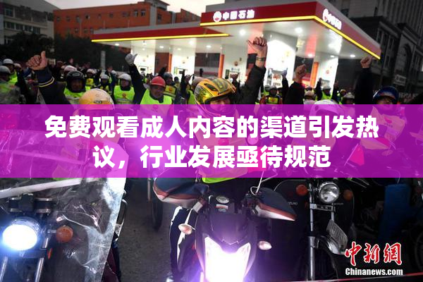 免费观看成人内容的渠道引发热议，行业发展亟待规范