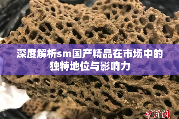 深度解析sm国产精品在市场中的独特地位与影响力