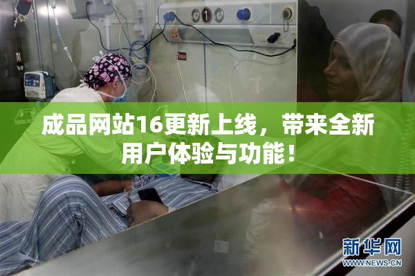 成品网站16更新上线，带来全新用户体验与功能！