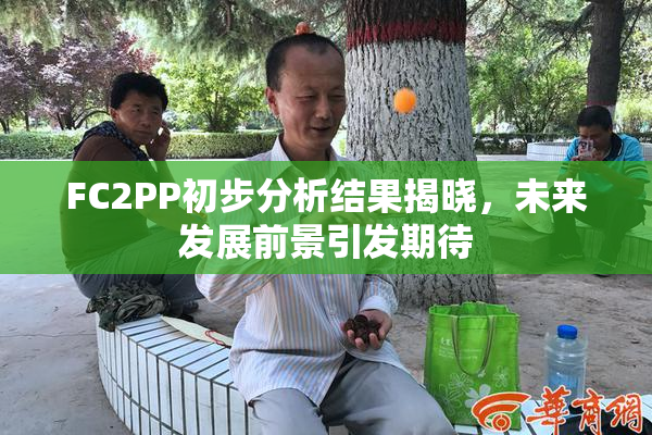 FC2PP初步分析结果揭晓，未来发展前景引发期待