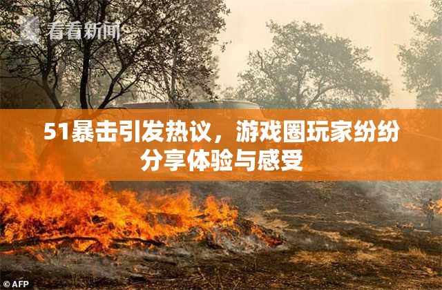 51暴击引发热议，游戏圈玩家纷纷分享体验与感受
