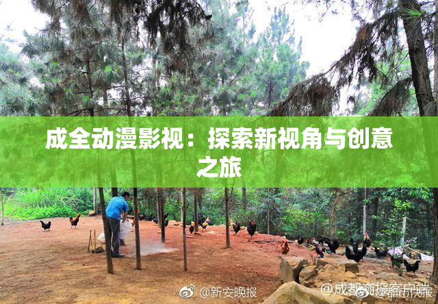 成全动漫影视：探索新视角与创意之旅