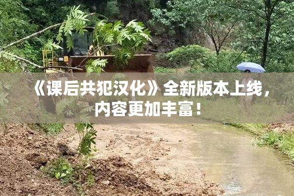 《课后共犯汉化》全新版本上线，内容更加丰富！