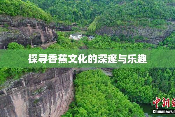 探寻香蕉文化的深邃与乐趣