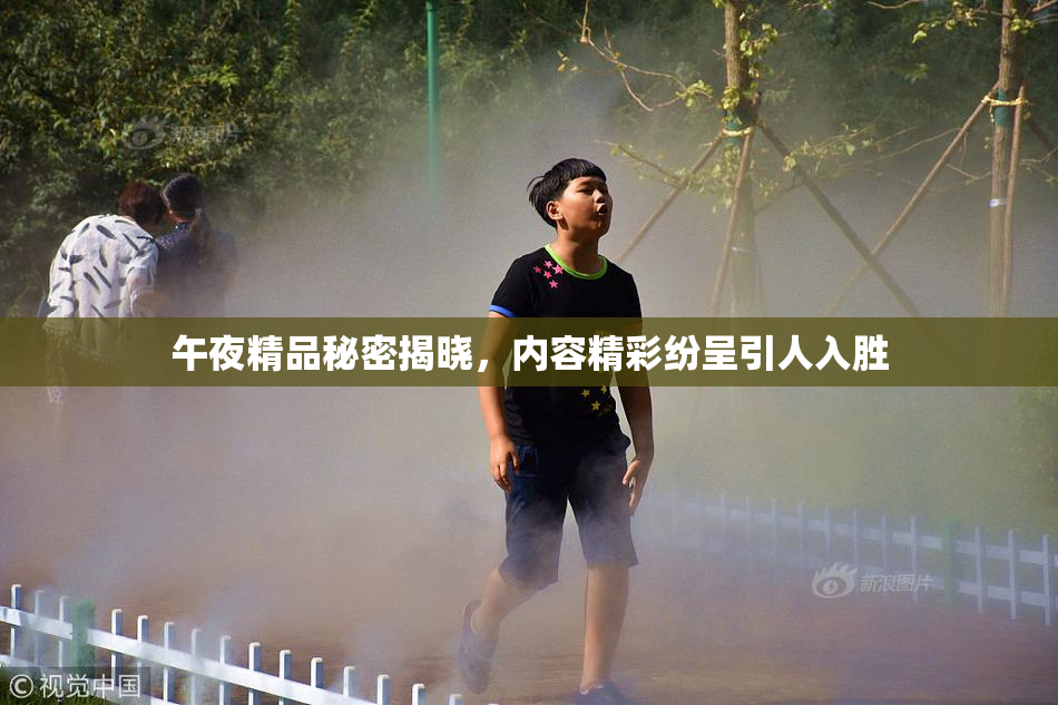 午夜精品秘密揭晓，内容精彩纷呈引人入胜