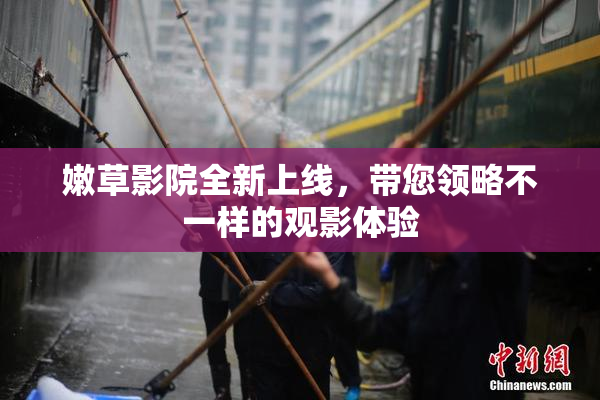 嫩草影院全新上线，带您领略不一样的观影体验