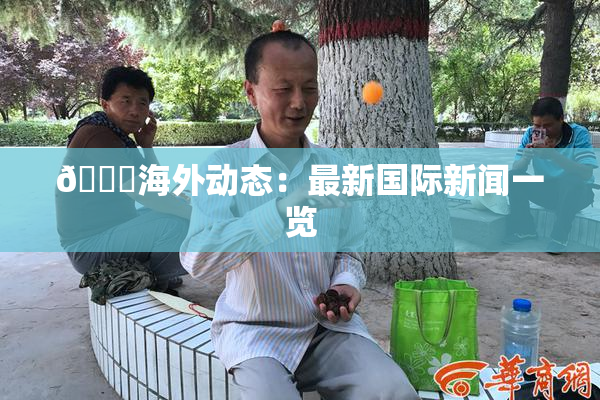 🔞海外动态：最新国际新闻一览