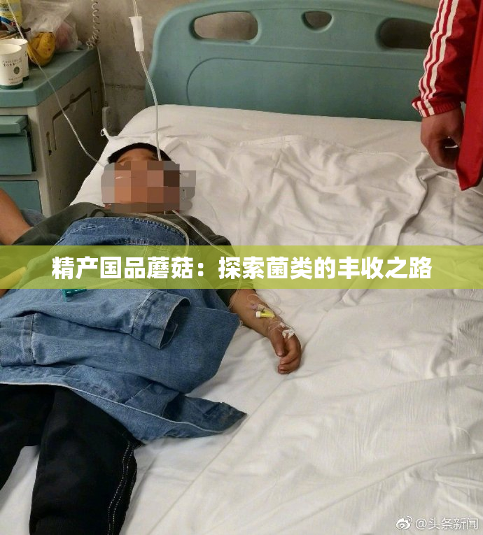 精产国品蘑菇：探索菌类的丰收之路