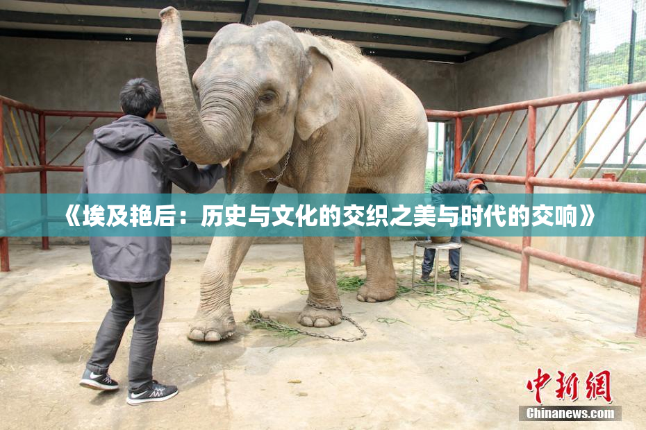 《埃及艳后：历史与文化的交织之美与时代的交响》