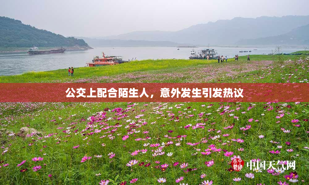 公交上配合陌生人，意外发生引发热议