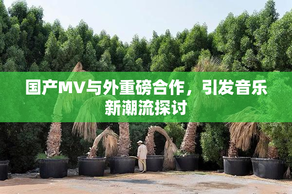 国产MV与外重磅合作，引发音乐新潮流探讨