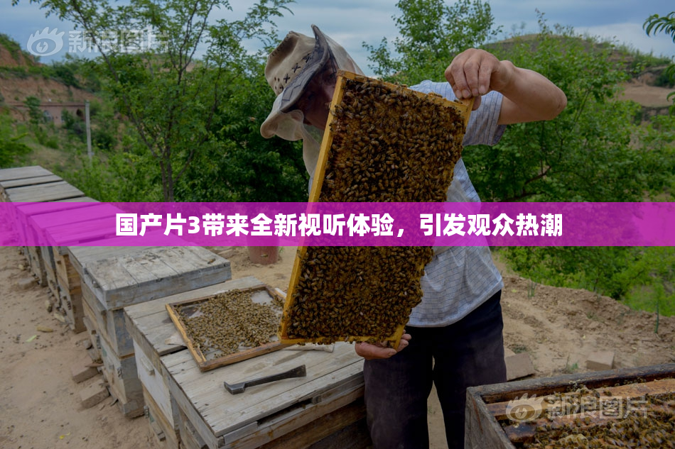 国产片3带来全新视听体验，引发观众热潮
