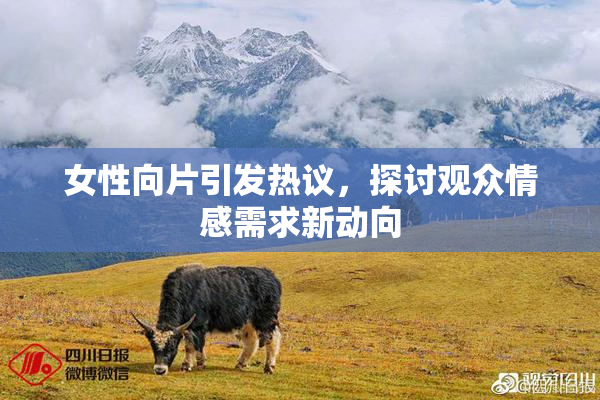 女性向片引发热议，探讨观众情感需求新动向