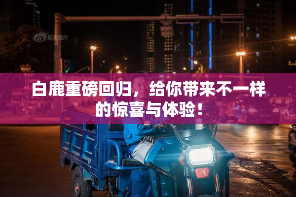 白鹿重磅回归，给你带来不一样的惊喜与体验！